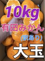 ｙ238【訳あり】有田みかん 大玉（肉まんサイズ） 箱込み10kg 和歌山県産 フルーツショップキルトパッチ店(10)　_画像1