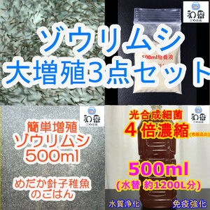 大増殖3点★ゾウリムシ500ml&PSB光合成細菌500ml&爆殖酵母 めだからんちゅう金魚グッピーに最適 ミジンコクロレラバクテリア相性◎生餌