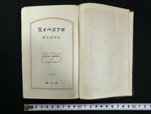 ｗ▼*　戦前　ボアゴベイ集　世界探偵小説全集4　訳・妹尾昭夫　1929年　博文館　古書/ f-K02_画像1