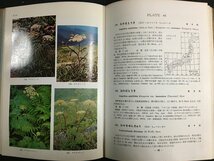 ｋ◆◆　カラー解説　日本高山植物図譜　奥山春季著　昭和41年　誠文堂新光社発行　/A02_画像4