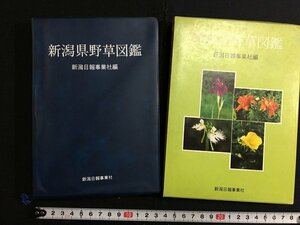 ｋ△　新潟県野草図鑑　昭和55年　新潟日報事業社 編・刊　　/ｔ-ｊ05