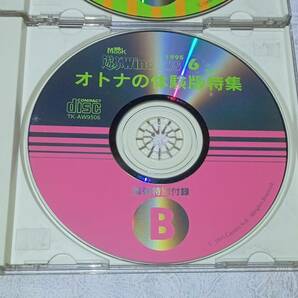 CD-ROM 2枚 セット / 遊ぶWindows 1995年 6月 情報号 A B オトナの体験版 PC 雑誌 付録 パソコン ソフト 資料 so1の画像3