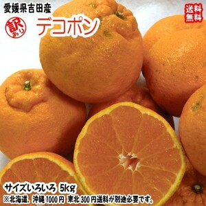 デコポン 不知火 訳あり 5kg サイズフリー 約14～25個 愛媛 宇和島 吉田産 送料無料 北海道・沖縄・東北は別途送料