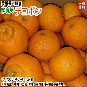 デコポン 不知火 家庭用 10kg サイズフリー 約26~50個 愛媛 宇和島 吉田産 送料無料 北海道・沖縄・東北は別途送料