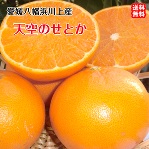 天空のせとか 家庭用 2kg 8~15個 愛媛 西宇和 川上産 農地直送 送料無料 北海道/沖縄/東北は別途送料 宇和海の幸問屋