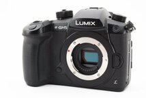 美品 箱付属品付き Panasonic パナソニック LUMIX GH5 ボディ_画像2