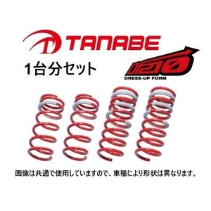 送料無料 タナベ DF210 ダウンサス (1台分) アルファードハイブリッド AAHH45W　TAHH45WDK