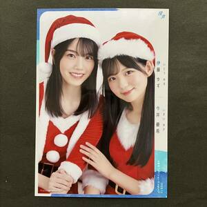 僕が見たかった青空　生写真　クリスマスコーデ　伊藤ゆず　今井優希