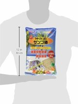 三晃商会 SANKO オカヤドカリの サンゴ砂 お徳用 2kg_画像3