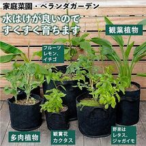 GREENSINDOOR プランター 7ガロン 5個セットフェルト 不織布ポット 植物栽培 バッグ 植木鉢 植え袋 不織_画像4