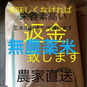 新米　無農薬　純こしひかり9kg玄米