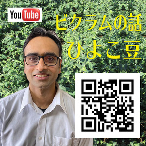 ベイスン ひよこ豆の粉 豆粉 500g グルテンフリー パン作りに 賞味期限2025.9.30の画像4