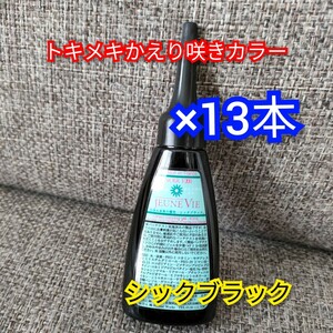 トキメキかえり咲きカラー　ブラック　40ml×13本　白髪染め　カラー剤　カラーリング　トリートメント　ヘアケア　毛髪着色料　黒