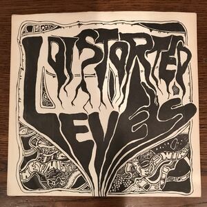 DISTORTED LEVELS / Hey Mister（1978/US）Orig.7inch ベリーレア【パンク天国/KBD/punk/powerpop/newwave】