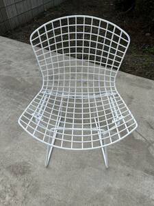  Harry belt ia wire chair side chair noru Mid-century modern Knoll Harry Bertoia