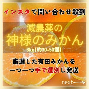 甘すぎ注意！有田みかん 早生 減農薬 産地直送 濃厚 甘い 高糖度 3kg