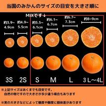 デコポン(不知火) 訳あり 2kg 和歌山 甘くておいしい 旬 みかん_画像2