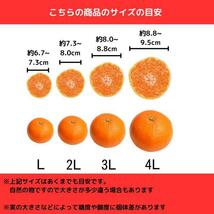 3kg 清見みかん 訳あり 和歌山県産 清見オレンジ 旬の果物_画像5