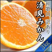 3kg 清見みかん 訳あり 和歌山県産 清見オレンジ 旬の果物_画像1