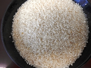 くず白米10㎏　鳥の餌　飼料米　 家畜の餌　くず米 　ペットのえさ　白米