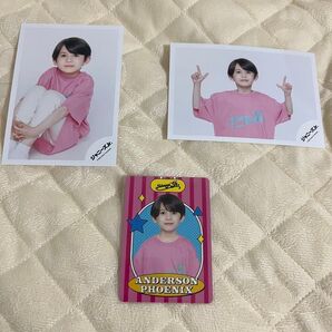 アンダーソンフェニックス 公式写真 プロカ