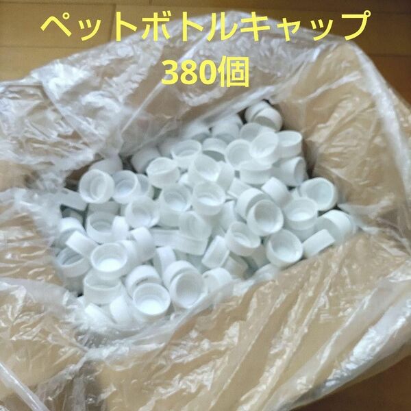 ★匿名配送★まとめ売り★ペットボトルキャップ白系380個