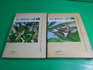 『原色日本蝶類幼虫大図鑑』 vol.Ⅰ&Ⅱ　2冊セット 著：白水隆・原章　保育社　