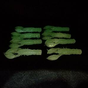 ザリガニ型ソフトワーム 5cm 2.2g 2インチ 8個 蓄光 夜光 海老 蟹 エビ カニ 根魚 穴釣り ロックフィッシュ スズキ 鯛 ヒラメ チヌ 夜釣りの画像4
