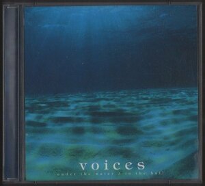 ★角松敏生/voices～under the water～in the hall/2CD/Theme of Blue Jam 他/全18曲/1999.6.23/BVCR-18011~2