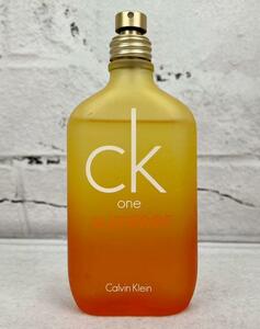 【 100ml 希少 】 Calvin Klein CK one summer 2005 EDT カルバンクライン シーケーワン サマー 香水 オードトワレ 