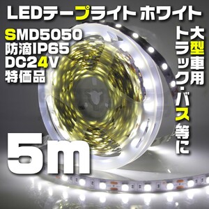 テープライト 5m ホワイト 24V LED 防水 60LED SMD5050