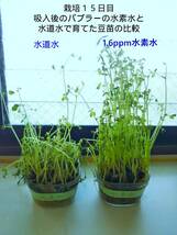 高速時短水素吸引・どこでも使える・１回1.8L・1000000ｐｐｍ（100％）・232L水素付セットモデル_画像5