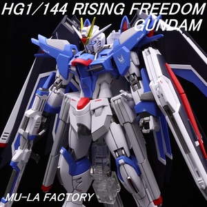 HG 1/144 ライジングフリーダムガンダム メタリックフレーム 劇場版 機動戦士ガンダムSEED FREEDOM 改修全塗装済み完成品