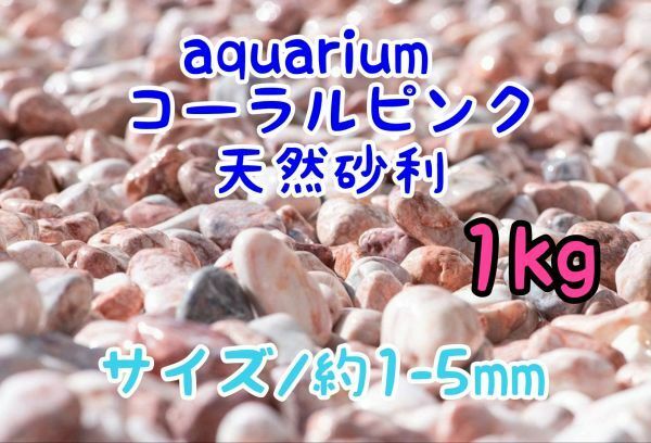 コーラルピンク 天然 砂利1-5mm 1kg アクアリウム メダカ 熱帯魚 金魚 グッピー レイアウト