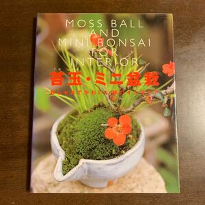 苔玉・ミニ盆栽　本　作り方　おしゃれでかわいい緑のインテリア　新星出版社　砂森聡　moss ball and mini bonsai for interior