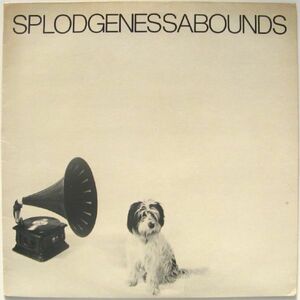 英パンク　スプロッジネサバウンズ　LP　Splodgenessabounds　1981年