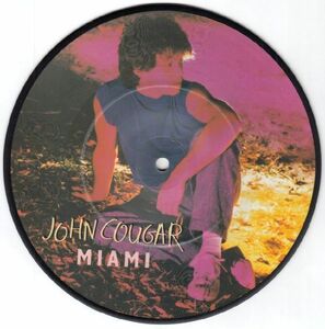 米パワーポップ、ポップ・ロック、ディスコ　ジョン・クーガー　７“　Miami　ピクチャーディスク 1979年
