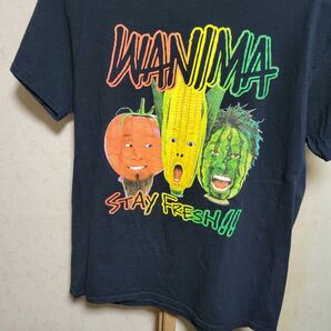 WANIMA　野菜ロゴTシャツ