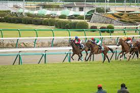 1円　フリー素材　激安　相互評価　競馬　直線　馬