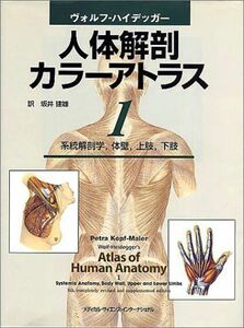 [A01782236]ヴォルフーハイデッガー人体解剖カラーアトラス 1 系統解剖学，体壁，上肢，下肢 [単行本] Gerhard Wolf‐Heide