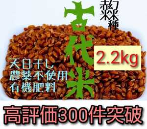 【今年最後です】送料無料【天日干し】赤米2.2kg【農家直売】玄米 無農薬 有機肥料 発芽玄米 マクロビ　オーガニック 自然農法 古代米