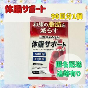 【90日分】お腹の脂肪を減らす　体脂サポート　新品未使用