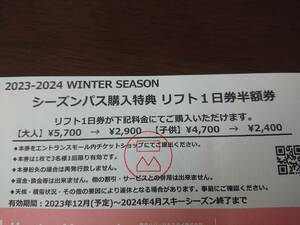 送料無料ハンターマウンテンリフト一日券半額券1枚