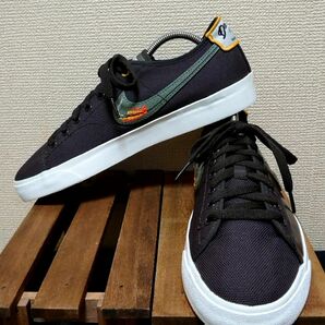 【極美品】NIKE SB BLAZER COURT DVDL / ブレイザーコート DVDL / 26cm/