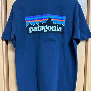 【美品】パタゴニア ロゴ Tシャツ