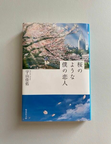 桜のような僕の恋人 本 小説