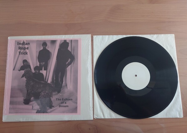 ★ビートルズ★The Beatles★Indian Rope Trick★ The Echoes of a Dream ★シュリンク残り★中古LP