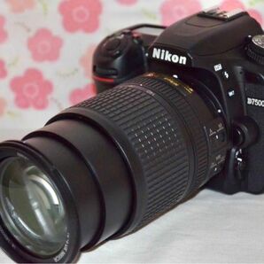 ★極美品★シャッタ数1万回以下！！超希少★超高性能★Nikon D7500レンズキット★激レア★Nikon純正レンズセット★年末