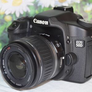 ☆美品☆スマホ転送OK☆キャノン Canon 50D☆デジタル一眼レフ☆