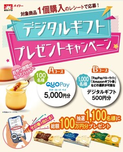 懸賞応募★QUOカードPay5000円分が100名様に！デジタルギフト500円分が1000名様に当たる！メイトーキャンペーン！応募レシート１口